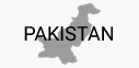 Pakistan With PN you get access to highly skilled talent in IT Industry from across the globe.